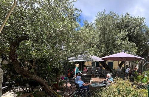 Il Cortile del Contadino - Foto 27