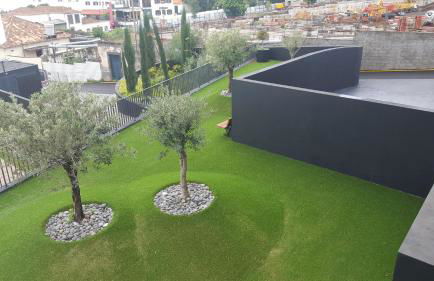 Astro Madeira Apartments - Foto 22