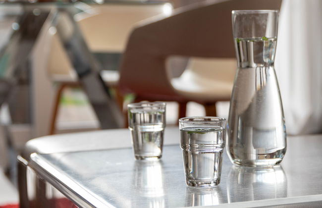 Kegelrobbe - Foto 12