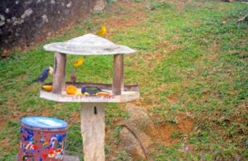 A Morada do Muriqui - Foto 69