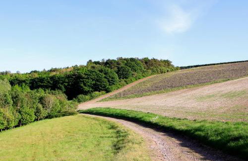 The Old Cowshed - Foto 17