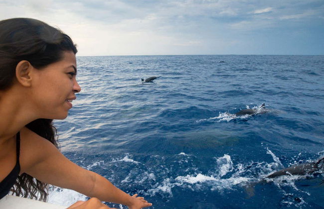 Barco por la bahía de Santa Cruz al amanecer - Foto 8