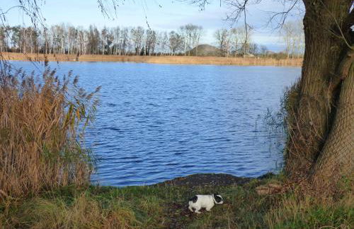 Uckermark "Ferienwohnung Sommerfugl " - Photo 17