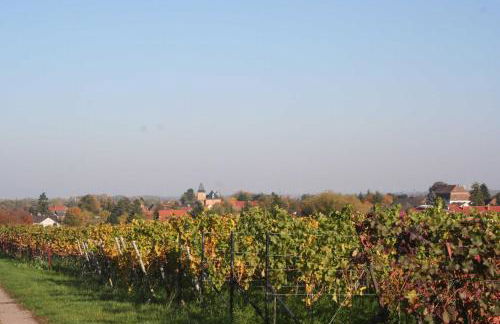 Ferienwohnung Spatzennest in Edesheim - Foto 19