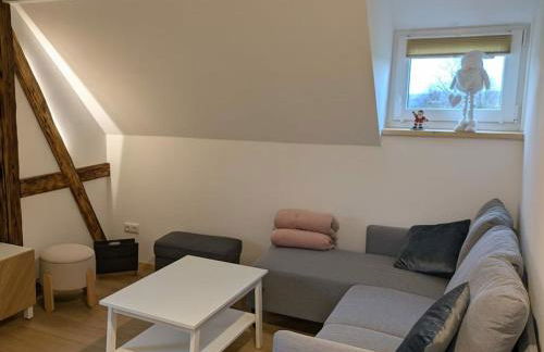 Holiday home in Oelsnitz with swimming pool - Foto 7