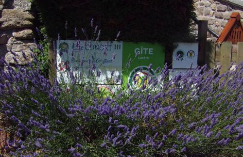 Gite bienvenue a couffinet - Foto 8