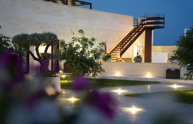 Gianfranco Fino Viticoltore - Foto 25