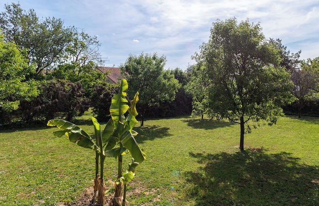 Centrum Apartment - Photo 32