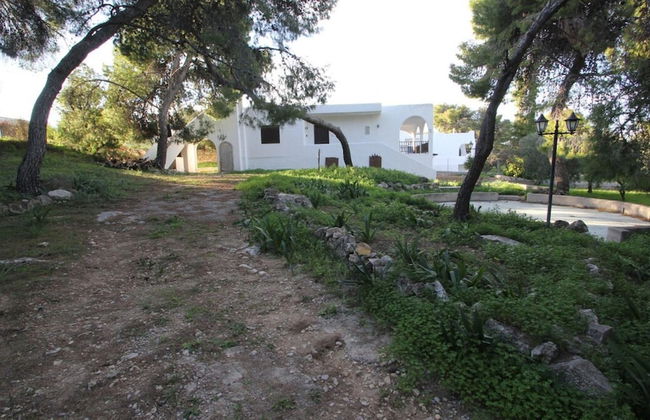 Attainable Heaven by Frangki - Foto 21