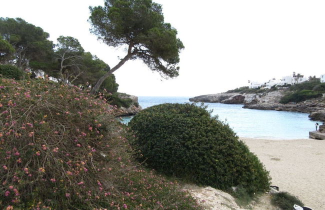 Residence Sirena D'or - Foto 24