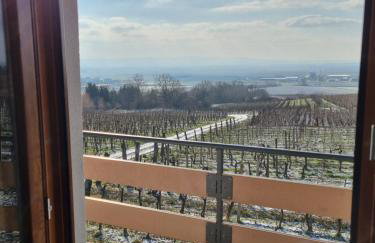 Kuća za odmor Baron - Foto 43