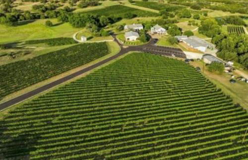 Your Lifetime Memories Create Here, Lake View, Infinity Pool, Jacuzzi & Pickleball - Foto 47