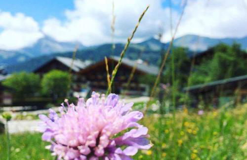 Chez Francine - Photo 37