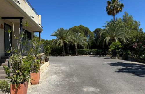 Masi 2 Adults only - Photo 7