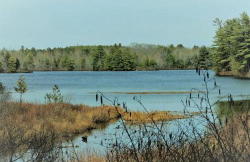 Charming Waterfront Cottage with Scenic Views, canoe Access, Near Bar Harbor, Mount Desert Island, Maine - Foto 6
