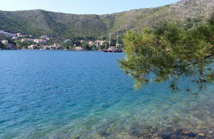 Apartment Ela - Photo 46