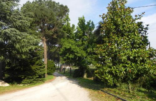 Caterina Residence - Foto 24