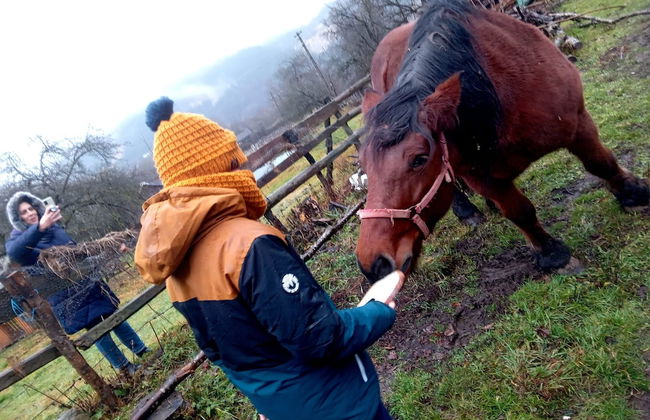 Room in Guest Room - Healthy Retreat Holiday in Mountain - Foto 38