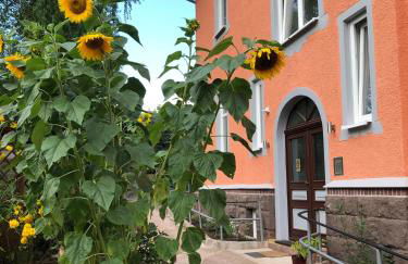 Moderne Ferienwohnungen in alter Villa - Photo 17