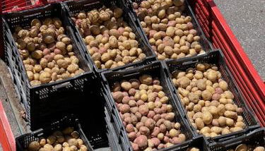 Casa Bicocchi - Foto 3