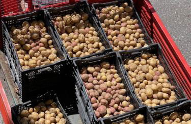 Casa Bicocchi - Foto 3