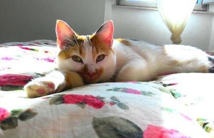 Heart House Maremma - Foto 18