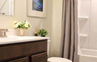 Mountain Whispers Harrisonburg JMU Shenandoah National Park - Foto 44