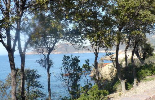 Appartements Résidence Casa Toga - Foto 11