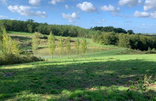 Majellon, Appartement à l‘ouest - Photo 14