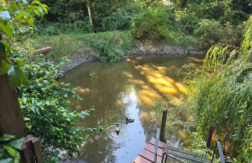 Secluded Off-Grid Retreat> Cabins+Hiking+Waterfall - Foto 20