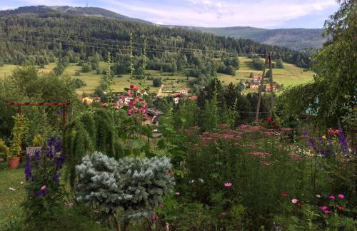 Willa Wierchy - Foto 45