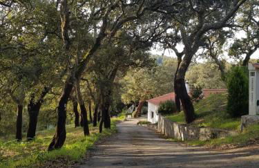 Casinha Laranja - Foto 6