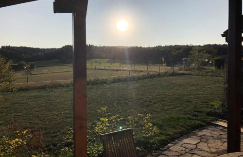 Waldhaus-Vulkaneifel - Foto 22