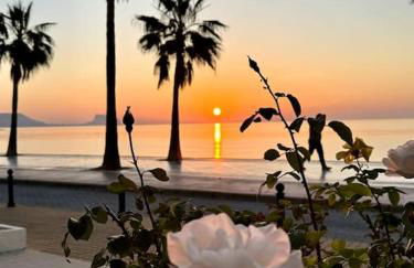 Beachfront, First line, 2-Bdr,2-Bath, Swiming Pool - Photo 20