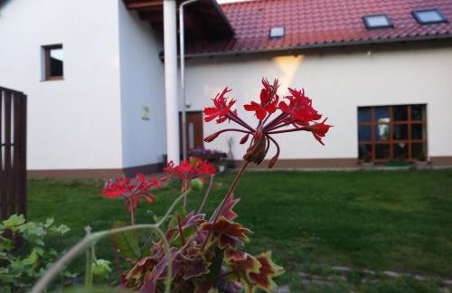 Agroturystyka Struzka - Foto 11