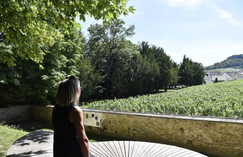 Les Bulles Blanches - Foto 45