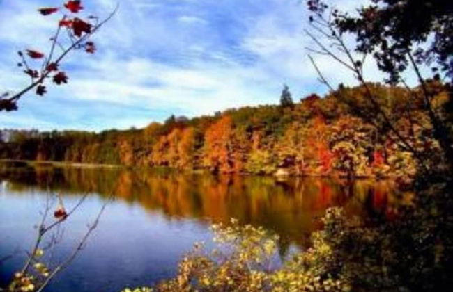 Holiday Home in Forest With Private Pool - Foto 30