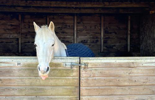 Modern 2BR Duplex-7min Oxford 14min Blenheim 15 BV - Foto 21