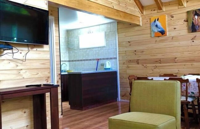 Cabañas El Nativo - Licán Ray - Foto 7