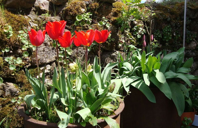 A Casa da Eira - Foto 21