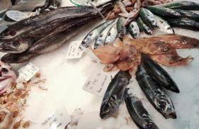 Apartamento Sants - Foto 59