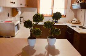 Charoula Pavliani Fthiotidas - Foto 50