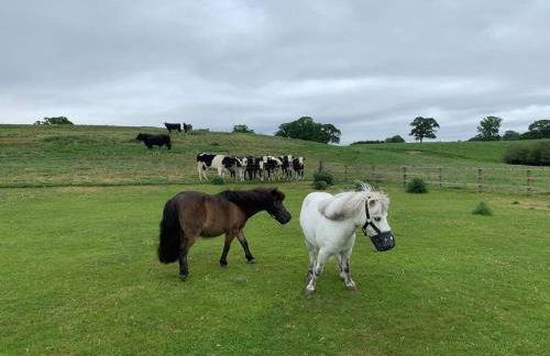 The Old Stables - Photo 48
