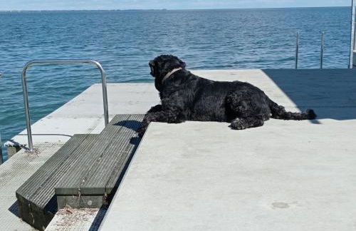 Ferienhaus Ebsen HH links - Foto 22