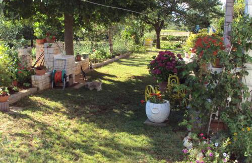 Apartment Gogo - Photo 8