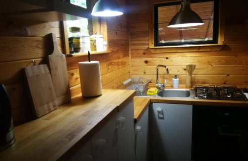 domki domek na jeziorem Wilczyńskim Budzisławskim , las, osobno ogrodzony 2-6 osób- klimatyzacja, ogrzewanie, 62-550 Zygmuntowo gm Wilczyn - Foto 31