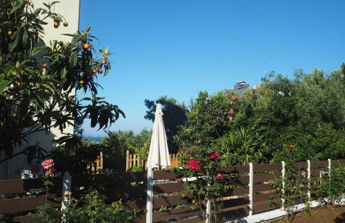 Herodicus villa - Foto 2