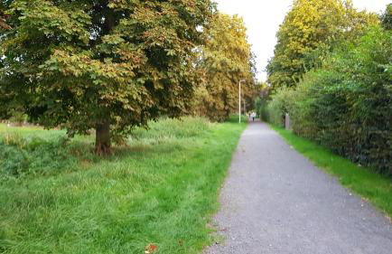 FeWo Steingasse - Foto 35