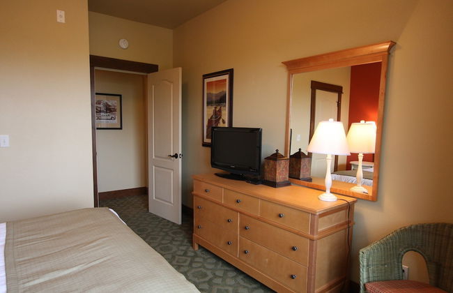 VI at Homestead - Photo 4