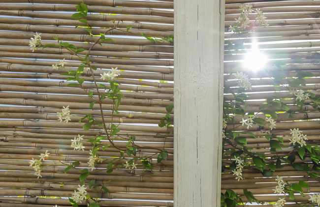 TD Casette Pricci - Casetta Salvia - Foto 17